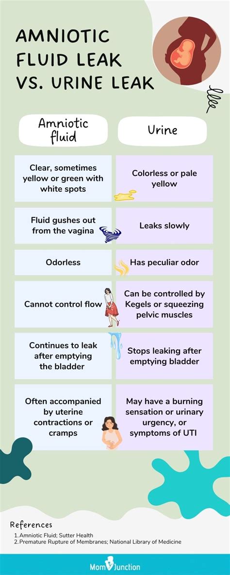 leakage of amniotic fluid|Leaking Amniotic Fluid: Signs in 1st to 3rd Trimester